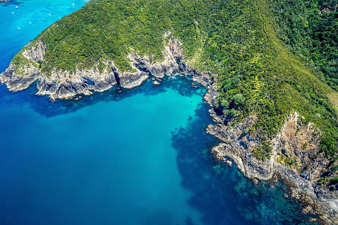 things to do bay of islands